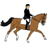 Hest .jpg