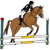 Hest jpg.jpg