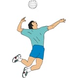 volleyball .jpg