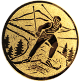 Langrenn_skøyting.png