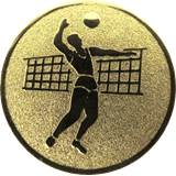 Volleyball.png