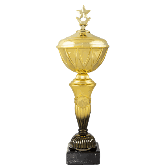 Fantasy pokal med lokk 7 størrelser
