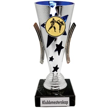 Blåfjell kampsportpokal i 2 størrelser