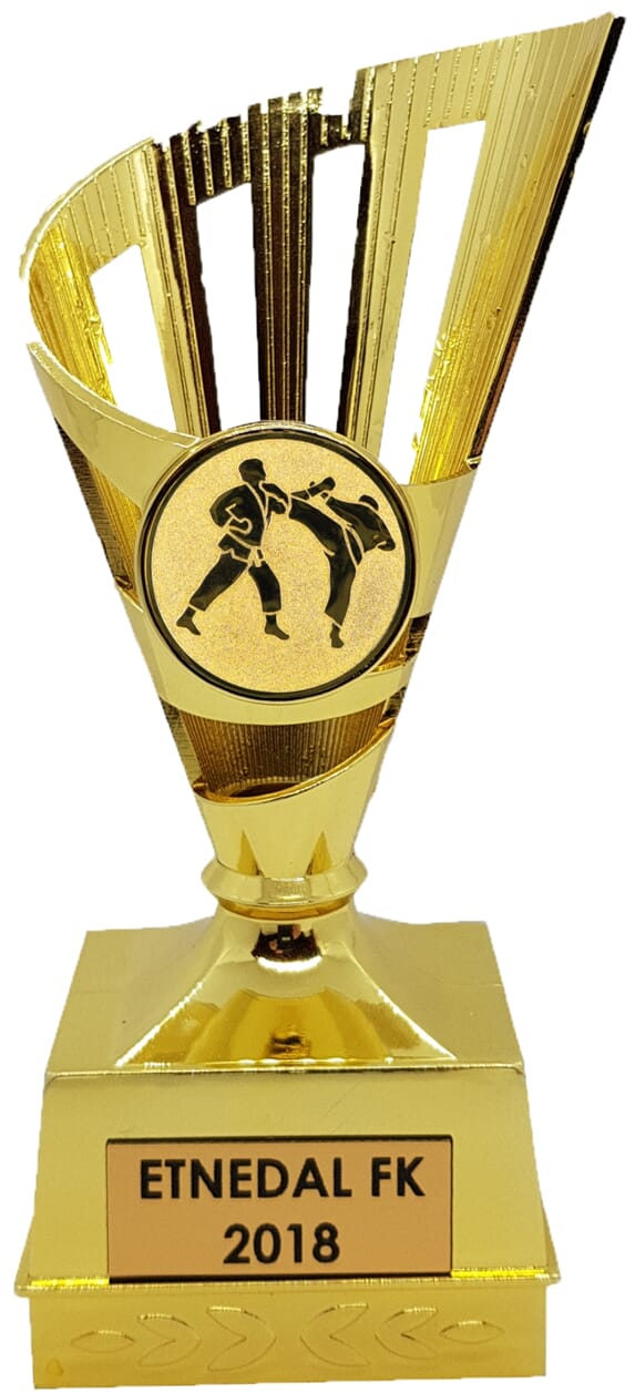 Gullkorn kampsportstatuett 14 cm