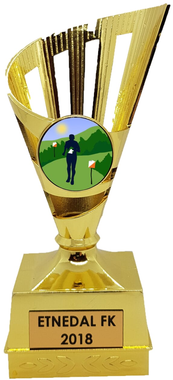 Gullkorn orienteringsstatuett 14 cm