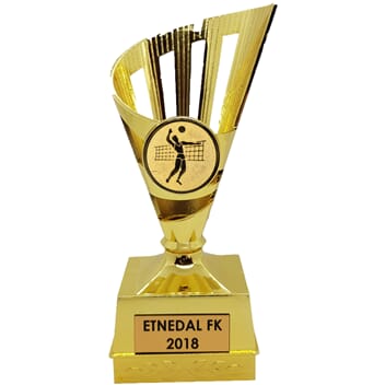 Gullkorn volleyballstatuett 14 cm
