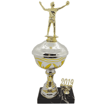 Gullstrupen pokal i 5 størrelser med årstall for volleyball