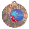 bronse Alpint1