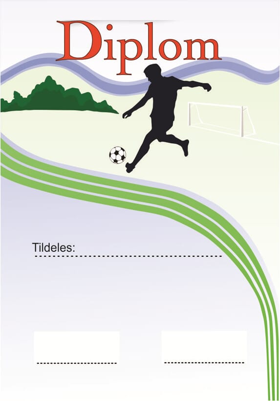 ¨Diplom Beijing fotball