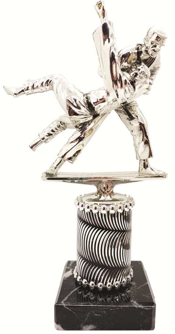 Judostatuetter i 4 størrelser