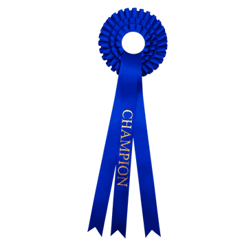 Blå rosetter med ferdigtrykk Champion 58 cm