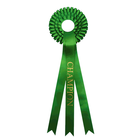 Grønne rosetter med ferdigtrykk Champion 58 cm