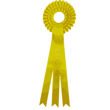 Gule rosetter med ferdigtrykk Champion 58 cm