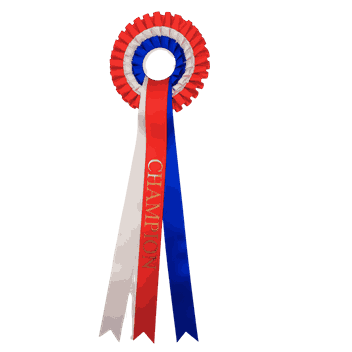 Norgesfarget rosetter med ferdigtrykk Champion 58 cm