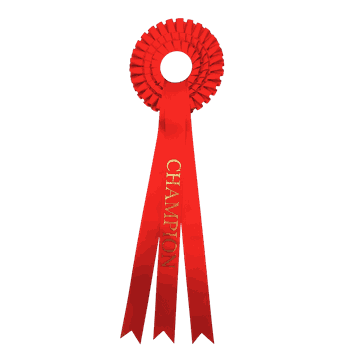 Røde rosetter med ferdigtrykk Champion 58 cm