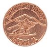 21-pins.png