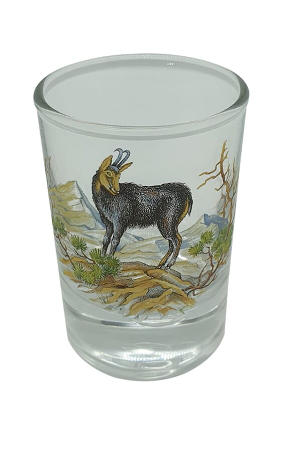 Disco shotglass  5 cl